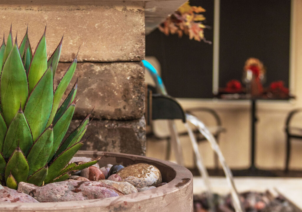 Courtyard Landscapes by V.I.P. Landscaping