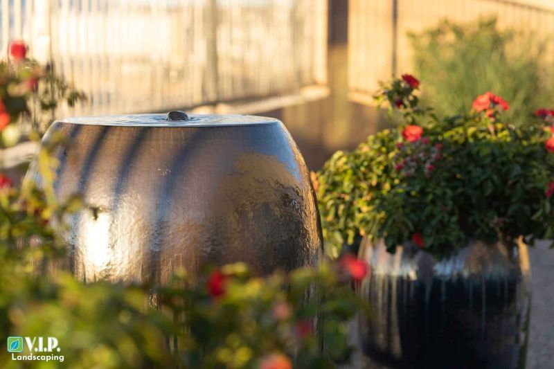 Las Vegas Native Landscape Design: Create a Wildlife-Friendly, Drought-Tolerant Yard