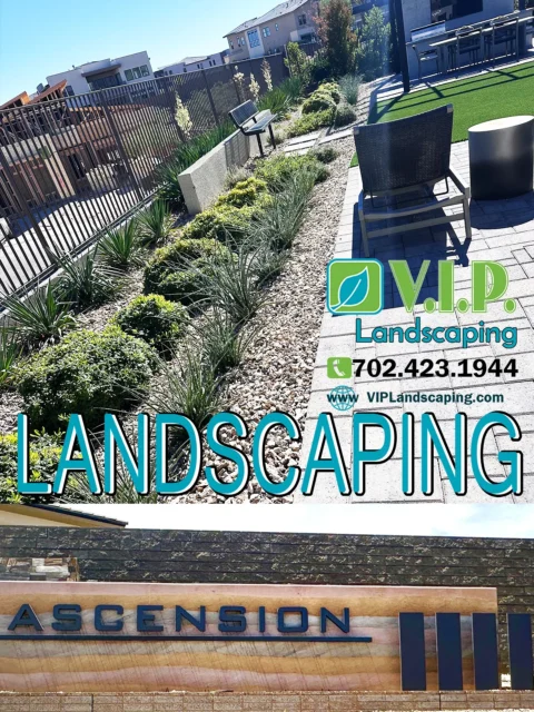 Landscaping New Homes in Ascension, Summerlin South, Las Vegas